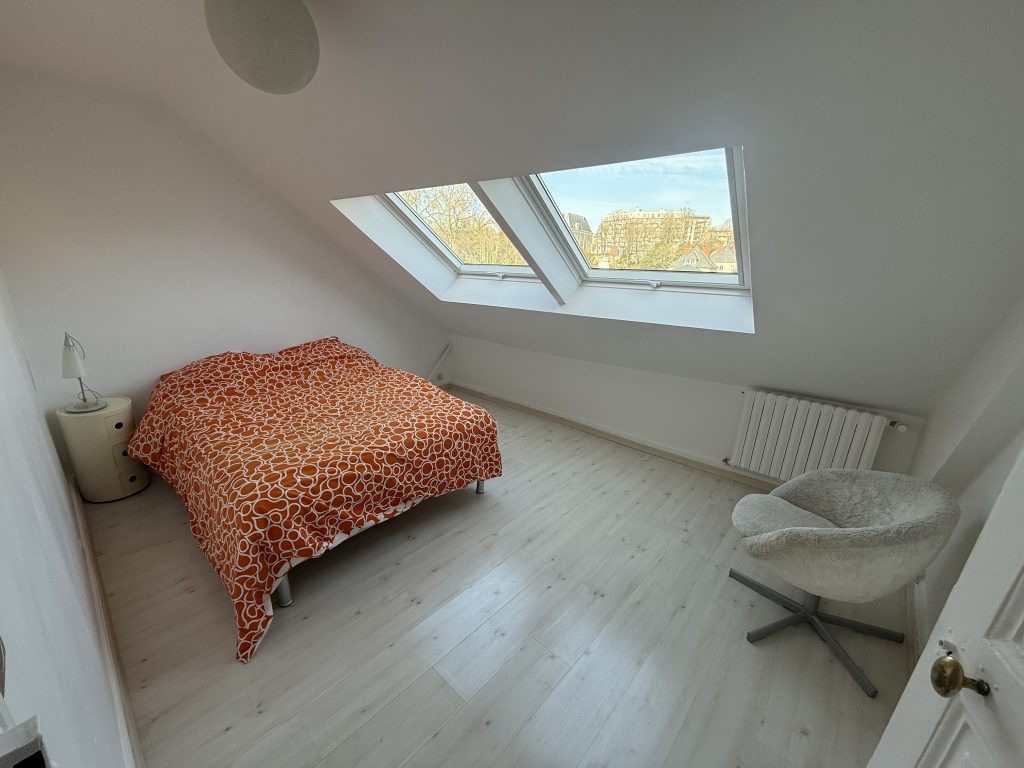 velux-remplacement-LEMANS-Sarthe