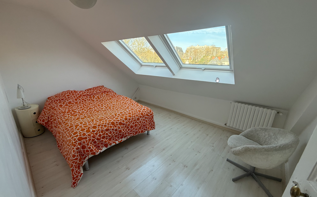 velux-remplacement-lemans-marbreil